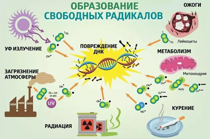 Дигоксин и аналоги, заменители в таблетках