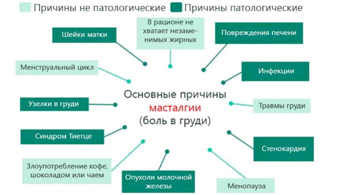 Индинол Форто и Индинол. В чем разница между ними, отличие