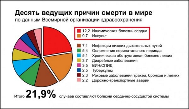 Инфаркт головного мозга и инсульт. Разница и отличия