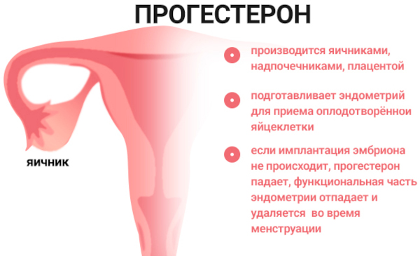 Меноррагия у женщин. Что это такое, симптомы, лечение