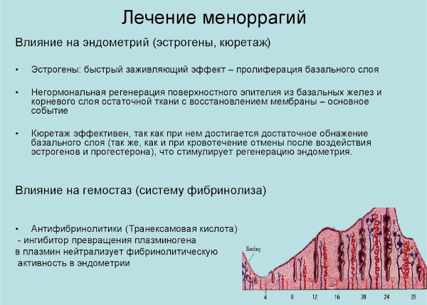 Меноррагия у женщин. Что это такое, симптомы, лечение