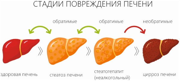 Пантопразол. Инструкция по применению, цена, отзывы