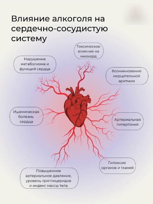 Профилактика гипертонической болезни