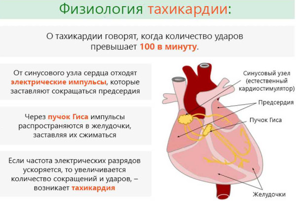 Сальбутамол (Salbutamol) таблетки. Инструкция по применению