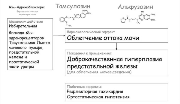 Тамсулозин (Tamsulosin). Инструкция по применению, цена, отзывы