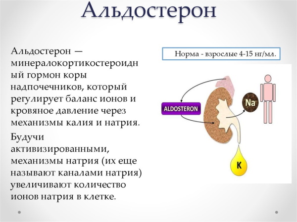 Антагонисты альдостерона. Препараты и механизм их действия