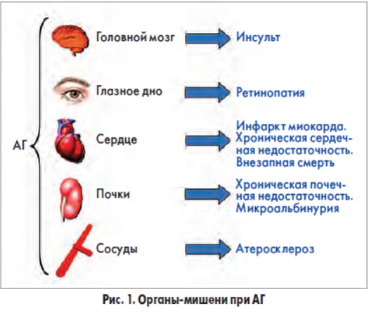 Антагонисты альдостерона. Препараты и механизм их действия