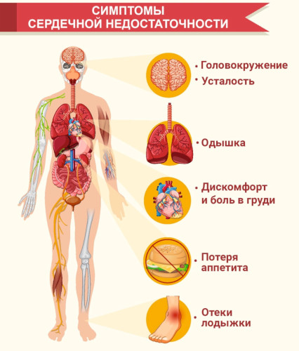 Бисопролол. Показания к применению, противопоказания