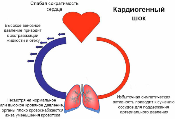 Бисопролол. Показания к применению, противопоказания