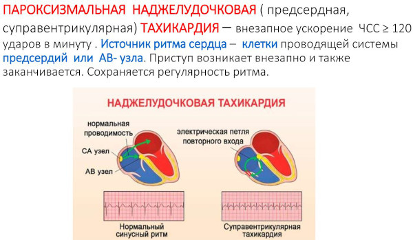 Дигоксин (Digoxin). Показания к применению, противопоказания