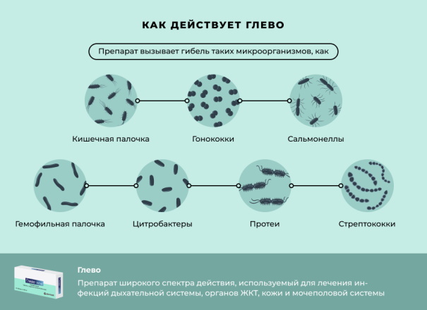 Глево (Glevo) таблетки. Инструкция по применению, цена, отзывы