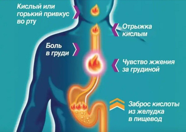 Как восстановить слизистую желудка после антибиотиков