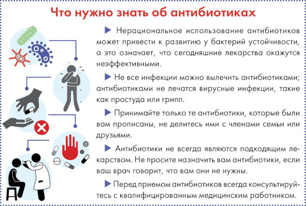 Как восстановить слизистую желудка после антибиотиков