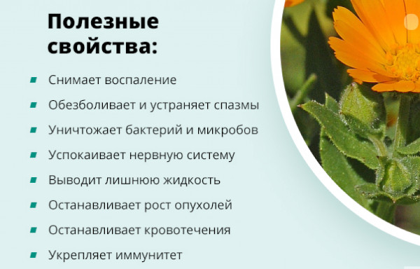 Лечение грибка стопы в домашних условиях