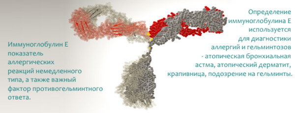 Лекарственная аллергия. Симптомы и лечение