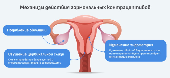 Мидиана (Midiana). Инструкция по применению, цена, отзывы