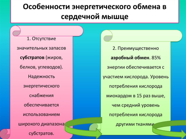 Предуктал или Триметазидин. Что лучше, отзывы