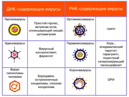 Ухо заложило и болит. Что делать у взрослого в домашних условиях