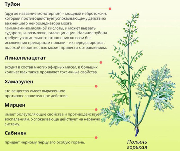 Ушиб ноги. Что делать, как лечить в домашних условиях