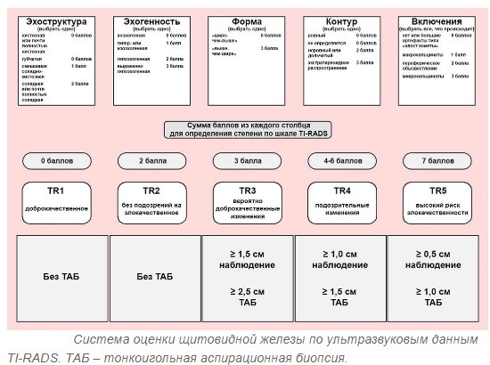 Узлы в щитовидной железе. Опасность, размер, норма, лечение