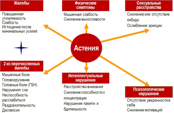 Ваготония. Что это такое, лечение у взрослых