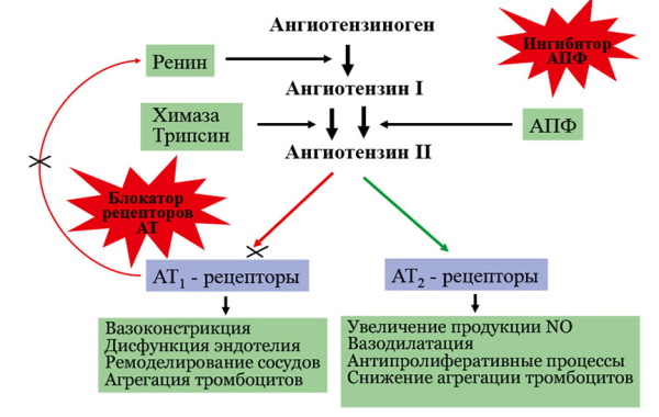 Валз H (Valz H). Инструкция по применению, цена, отзывы