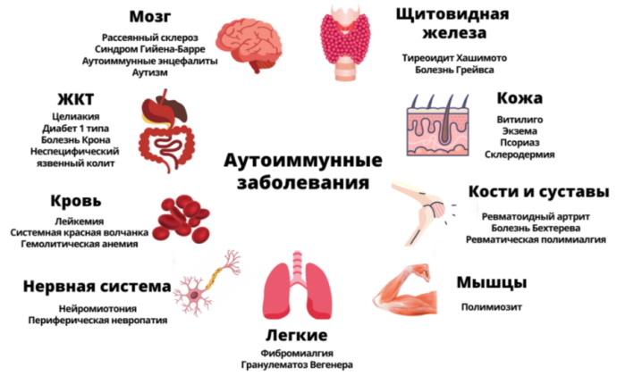 Дрожжевые грибы в кале у взрослого. Что это значит, лечение