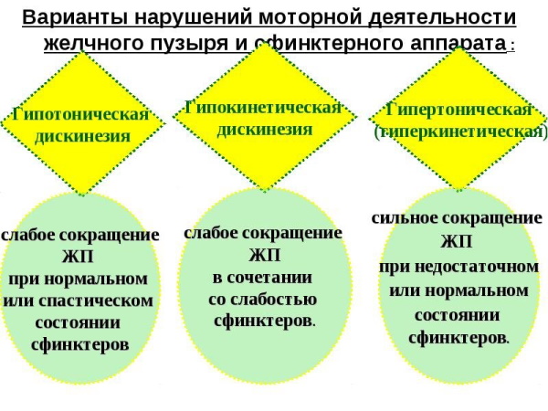 Дискинезия желчевыводящих путей по гипокинетическому типу. Что это, лечение