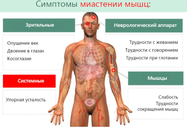 Миорелаксанты. Список препаратов при артрозе