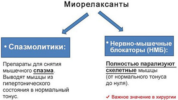 Миорелаксанты. Список препаратов при артрозе