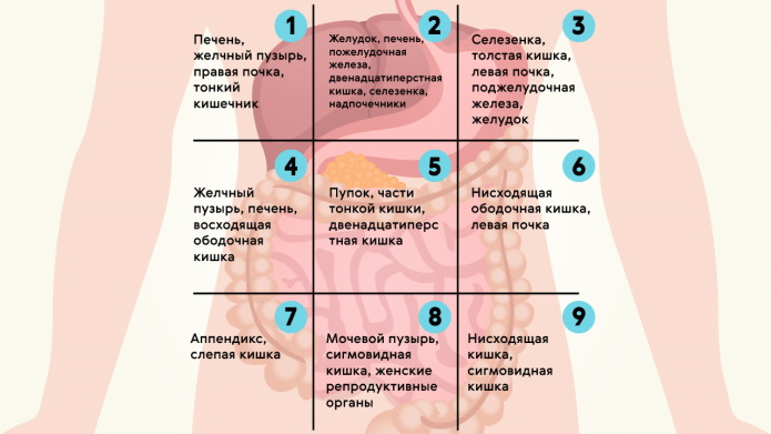 Заболевания кишечника. Симптомы и признаки у женщин