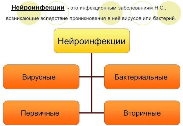 Анизокория это что в медицине. Причины, симптомы