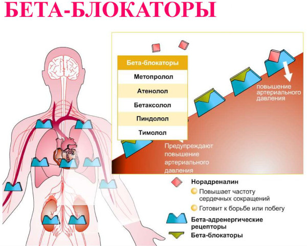 Антиаритмические препараты. Классификация, классы, механизм действия