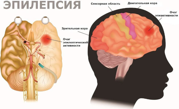 Авиамарин (Aviamarin) таблетки. Инструкция по применению, цена