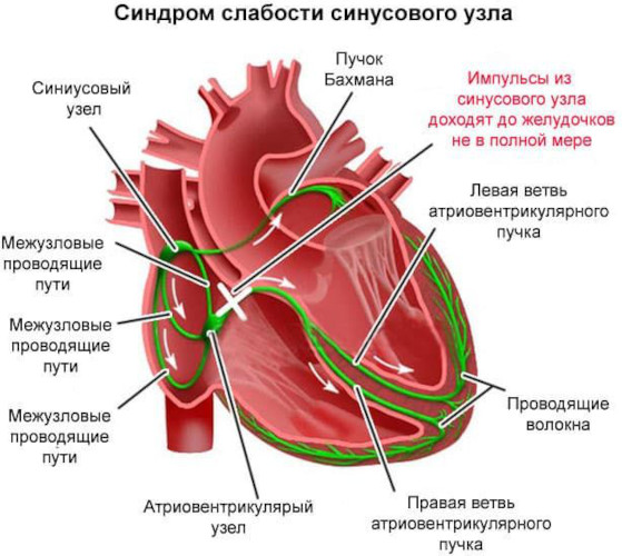 Коргликард (Corglycard) ампулы. Инструкция по применению