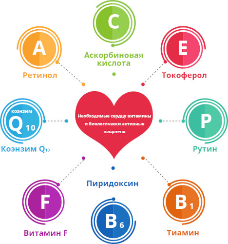 Дистрофия миокарда (миокардиодистрофия). Что это такое, симптомы, лечение