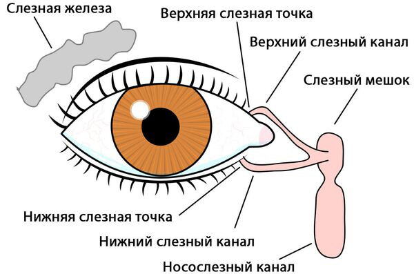 Гемолакрия что это за болезнь, причины, лечение