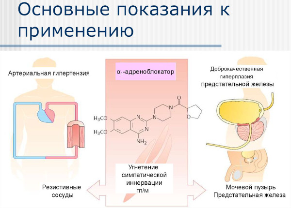 Корнам (Kornam). Инструкция по применению, цена, отзывы