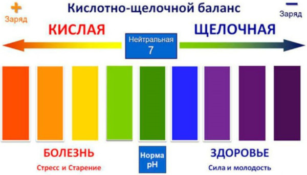 Питание при псориазе для женщины. Меню на каждый день