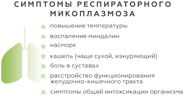 Респираторный микоплазмоз у взрослых. Симптомы, лечение