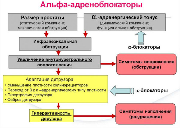 Сетегис (Setegis). Инструкция по применению, цена, отзывы