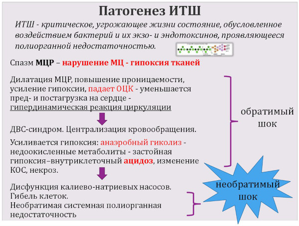 Первая помощь при шоке. Алгоритм действий