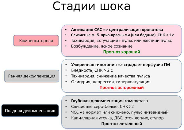 Первая помощь при шоке. Алгоритм действий