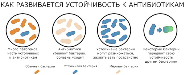 Антибиотики при гнойных ранах у взрослых в таблетках. Список