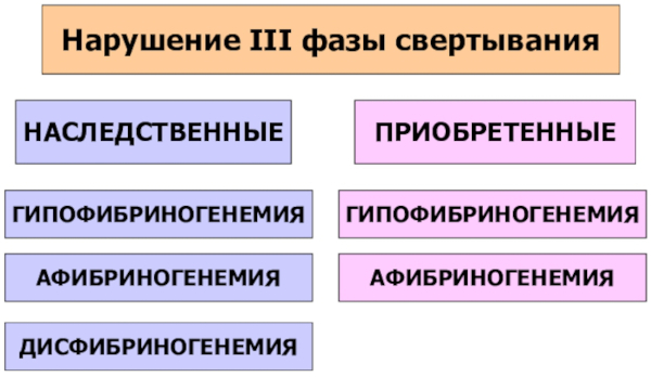 Аутоиммунная тромбоцитопения. Что это такое, лечение