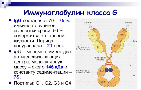 Аутоиммунный панкреатит. Симптомы, клинические рекомендации