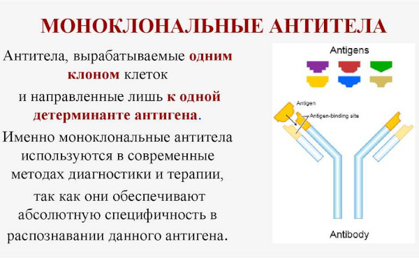 Аутоиммунный панкреатит. Симптомы, клинические рекомендации