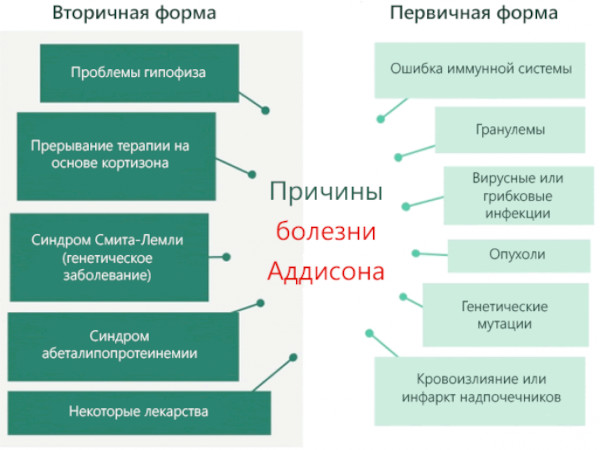 Болезнь Аддисона (бронзовая). Что это такое, симптомы