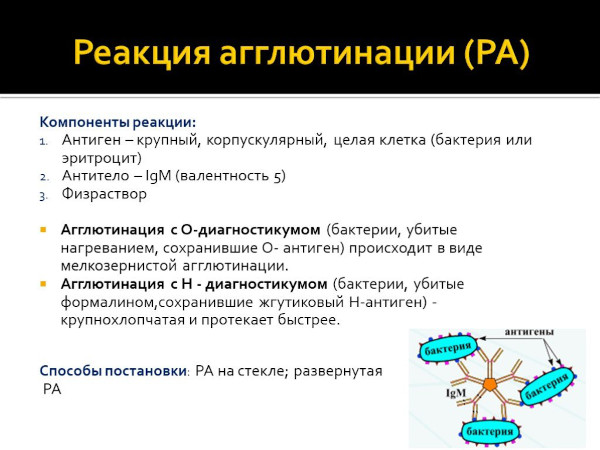 Брюшной тиф. Симптомы у детей, лечение