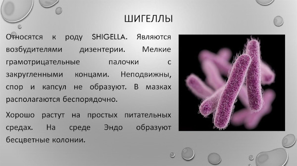 Дизентерия у детей. Что это такое, симптомы, лечение